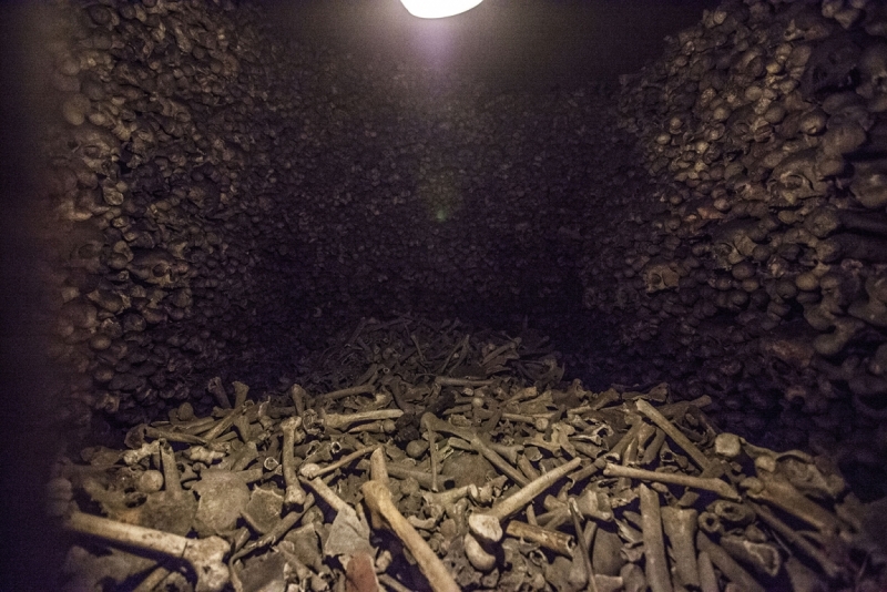 Выходные в Вене в конце лета