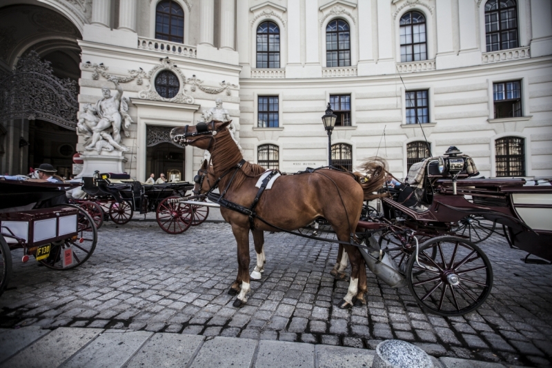 Выходные в Вене в конце лета