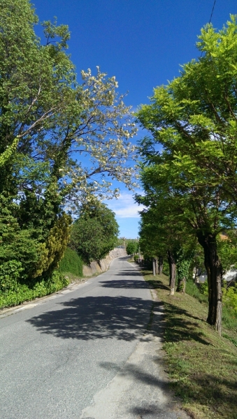 Италия на майские: Пьемонт-Лигурия-Ломбардия