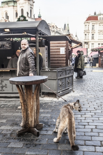 Автотрип на новый год: Санкт-Петербург - Прага - Карловы Вары - Дрезден - Берлин