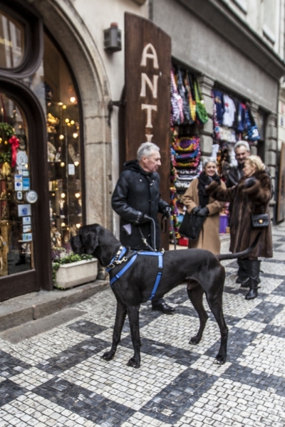 Автотрип на новый год: Санкт-Петербург - Прага - Карловы Вары - Дрезден - Берлин