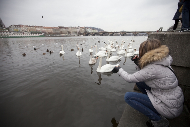 Автотрип на новый год: Санкт-Петербург - Прага - Карловы Вары - Дрезден - Берлин