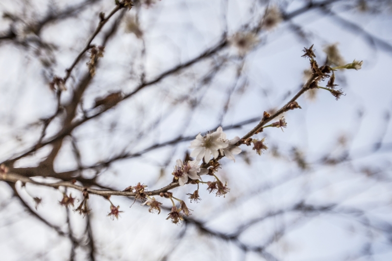 Автотрип на новый год: Санкт-Петербург - Прага - Карловы Вары - Дрезден - Берлин