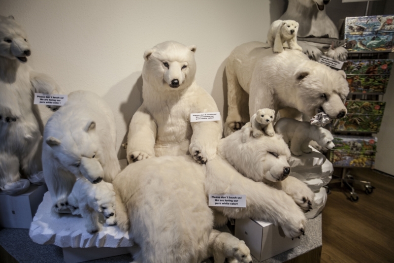 Автотрип на новый год: Санкт-Петербург - Прага - Карловы Вары - Дрезден - Берлин