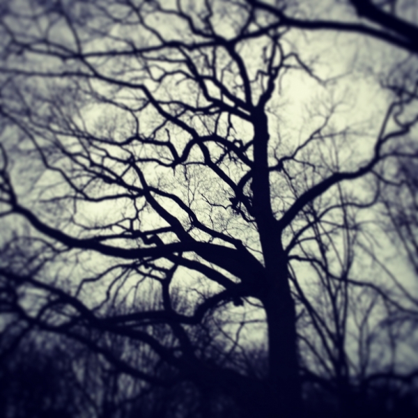 Автотрип на новый год: Санкт-Петербург - Прага - Карловы Вары - Дрезден - Берлин