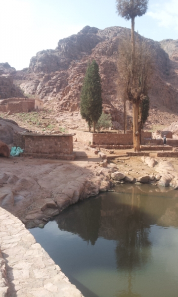 Holy trekking Egypt. Треккинг в Египте, май 2013г Holy trekking Egypt. Треккинг в Египте, май 2013г