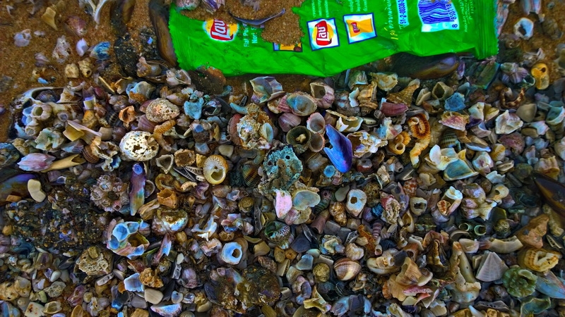 Еда в Паттайе: рестораны, кафе, фуд-корты