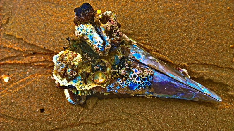 Еда в Паттайе: рестораны, кафе, фуд-корты