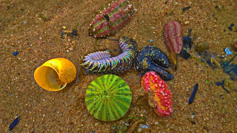 Еда в Паттайе: рестораны, кафе, фуд-корты