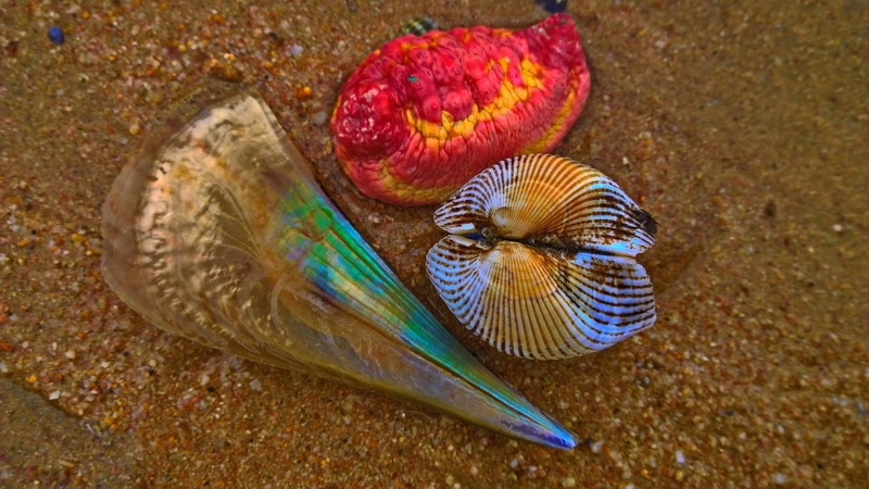 Еда в Паттайе: рестораны, кафе, фуд-корты