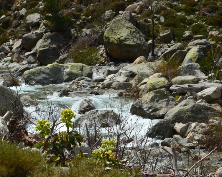 Корсика. Неделя на острове красоты. Май 2014