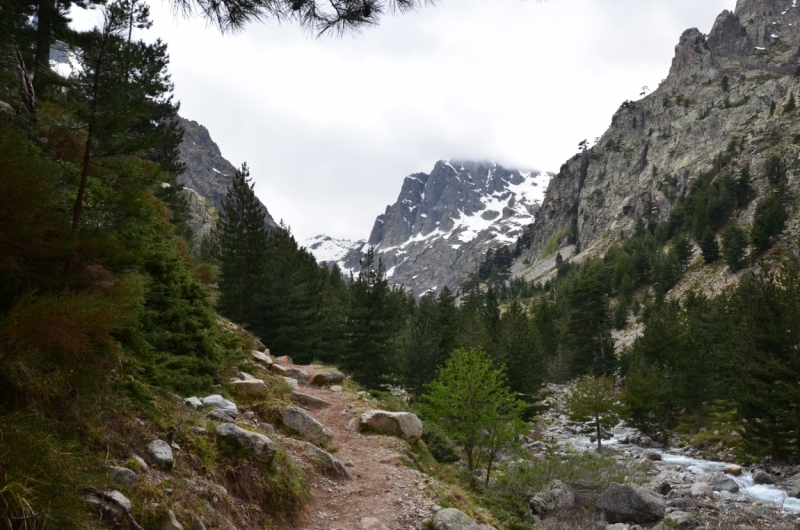 Корсика. Неделя на острове красоты. Май 2014