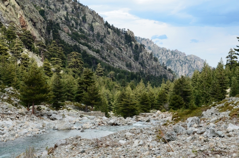 Корсика. Неделя на острове красоты. Май 2014