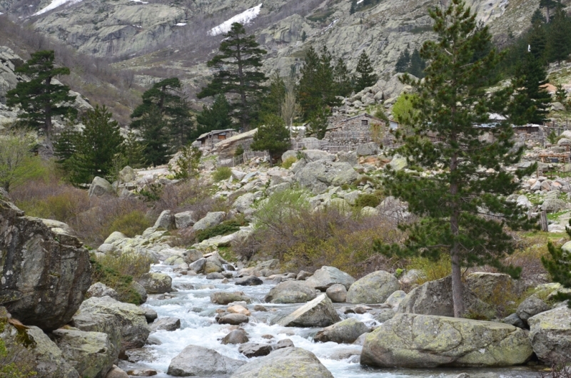 Корсика. Неделя на острове красоты. Май 2014