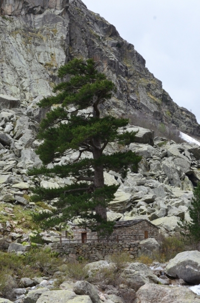 Корсика. Неделя на острове красоты. Май 2014