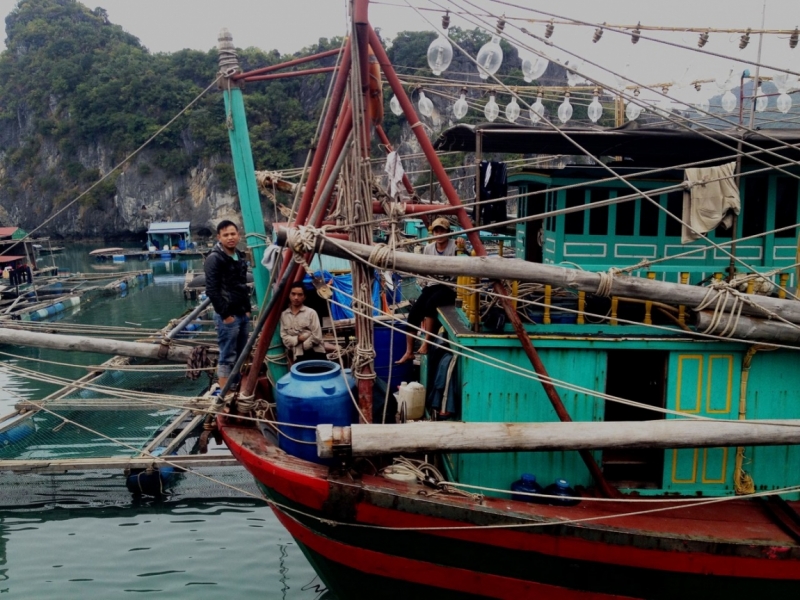 Вьетнам. С севера на юг. Ханой - Сапа - Кат Ба - Ханой - Сайгон - Фу Куок - Ханой