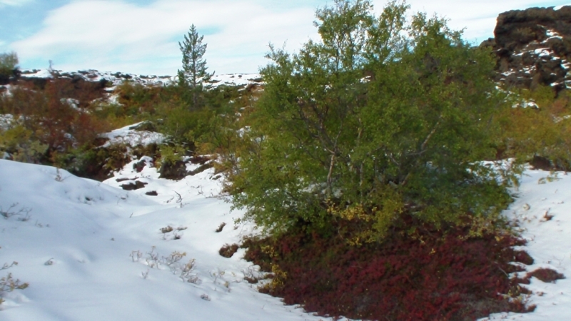 В чертогах Снежной Королевы (Исландия + Гренландия, сентябрь 2013)
