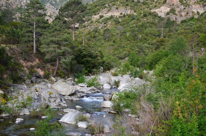 Корсика. Неделя на острове красоты. Май 2014