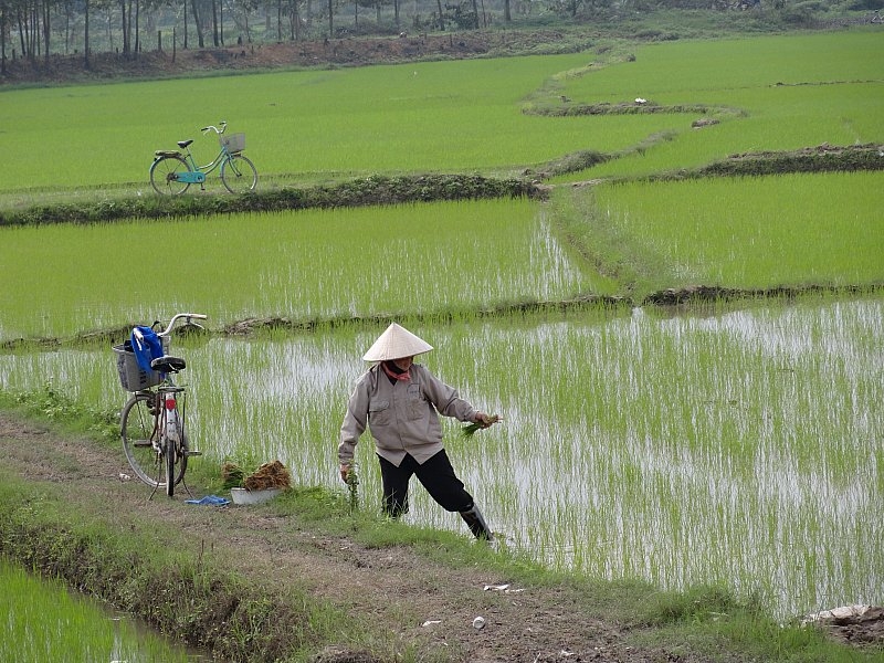 Безмятежное волшебство Вьетнама.