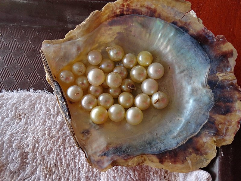 Безмятежное волшебство Вьетнама.