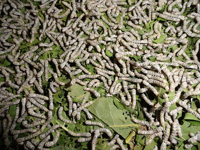 Безмятежное волшебство Вьетнама.