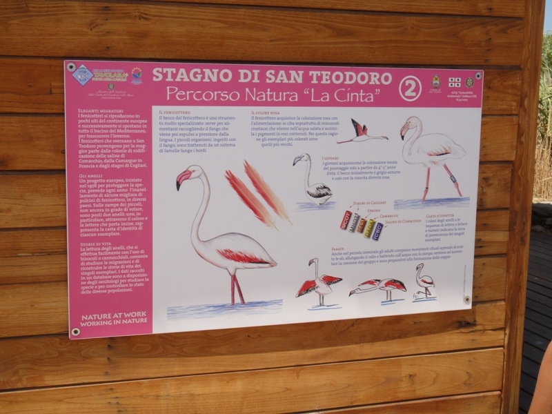 Маршрут по Сардинии на вашу оценку