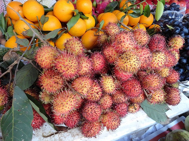 Безмятежное волшебство Вьетнама.