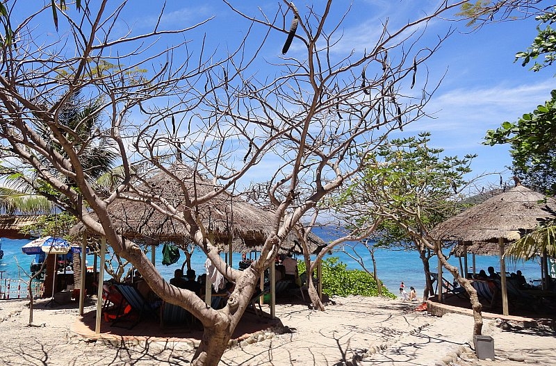 Безмятежное волшебство Вьетнама.