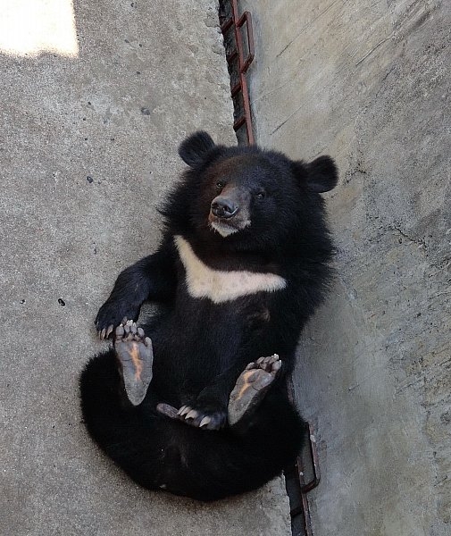 Безмятежное волшебство Вьетнама.