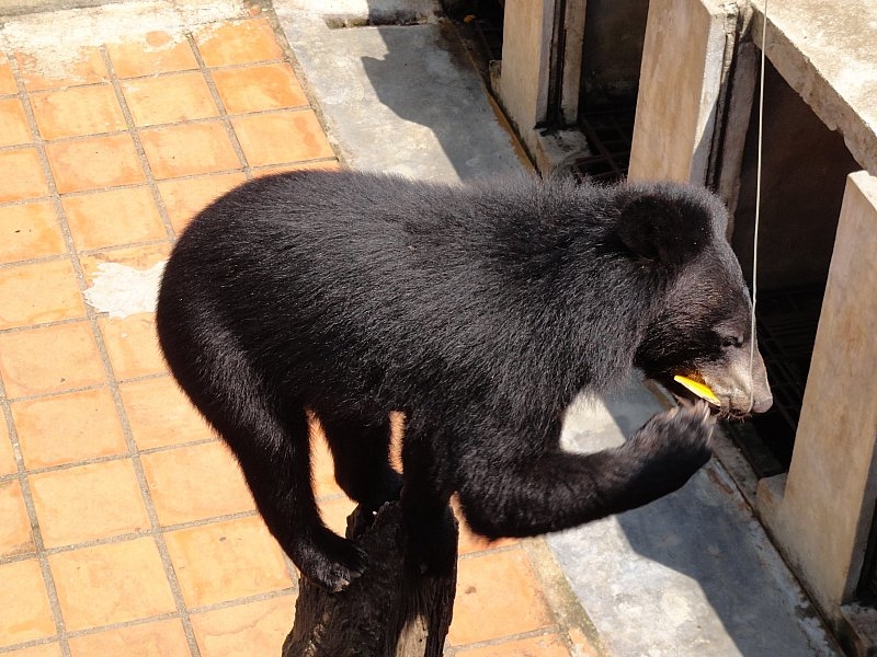 Безмятежное волшебство Вьетнама.