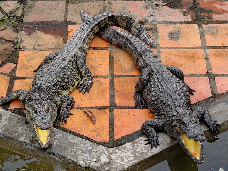 Безмятежное волшебство Вьетнама.