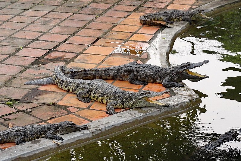 Безмятежное волшебство Вьетнама.