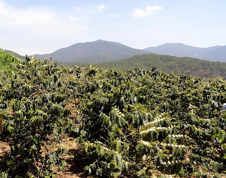 Безмятежное волшебство Вьетнама.