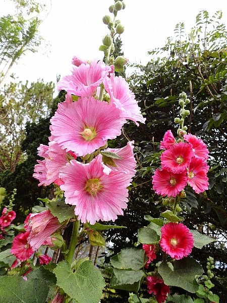 Безмятежное волшебство Вьетнама.