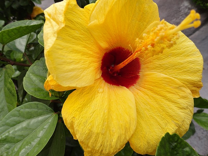 Безмятежное волшебство Вьетнама.