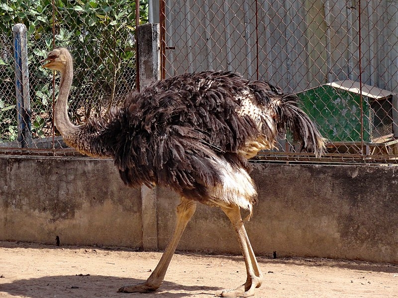 Безмятежное волшебство Вьетнама.