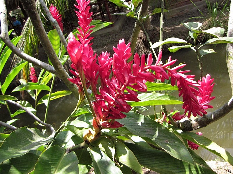 Безмятежное волшебство Вьетнама.