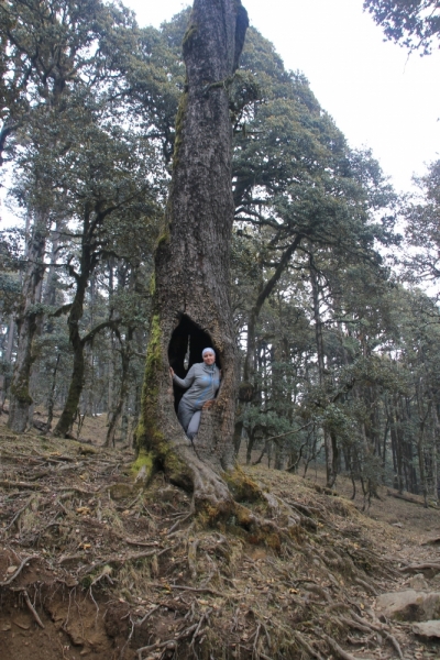 Индия налегке…жизнь начинается там, где заканчивается асфальт