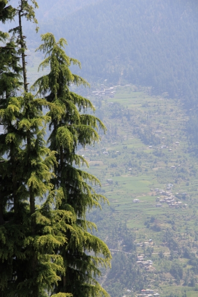 Индия налегке…жизнь начинается там, где заканчивается асфальт