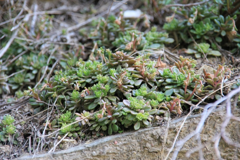 Индия налегке…жизнь начинается там, где заканчивается асфальт