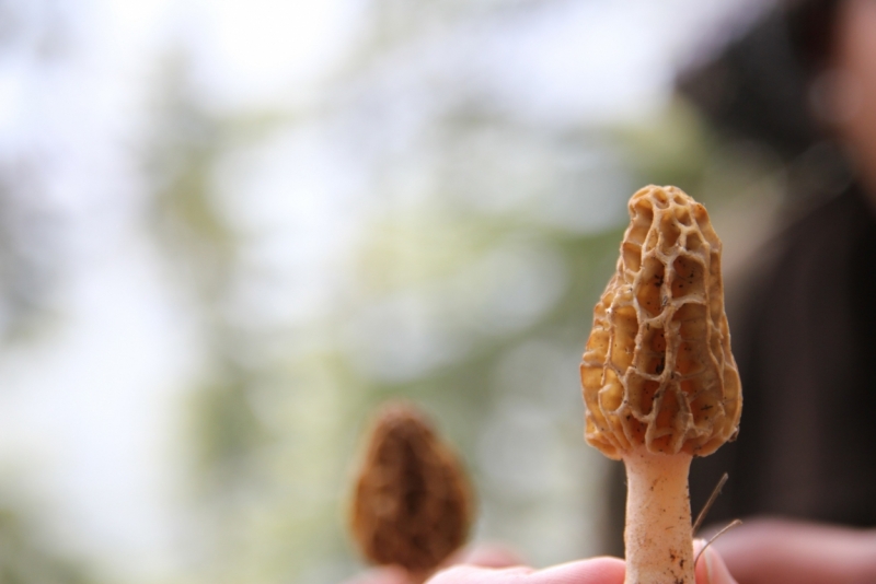 Индия налегке…жизнь начинается там, где заканчивается асфальт