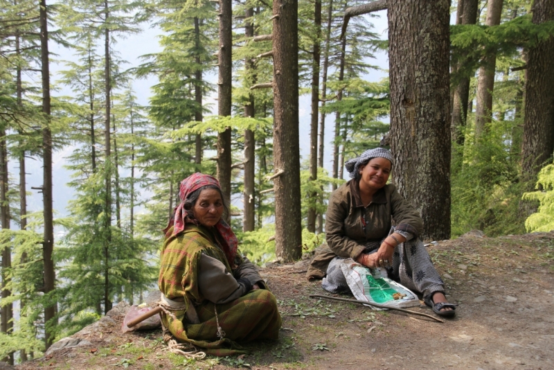 Индия налегке…жизнь начинается там, где заканчивается асфальт