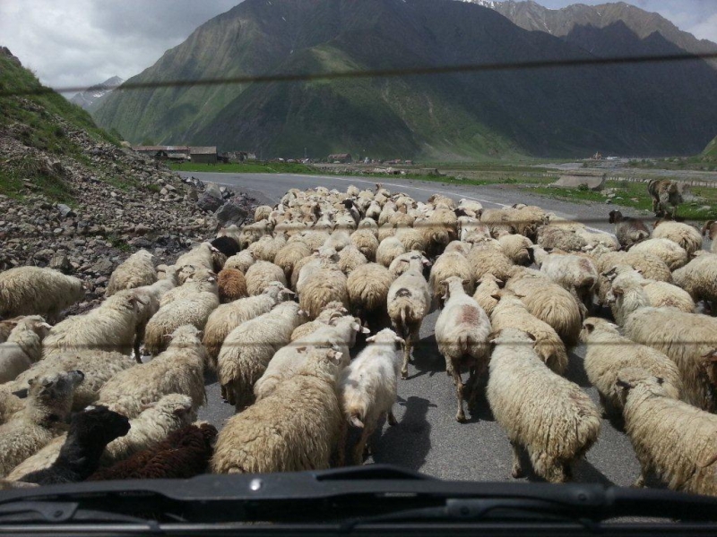 Боже, храни Грузию!
