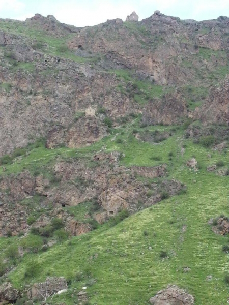 Боже, храни Грузию!