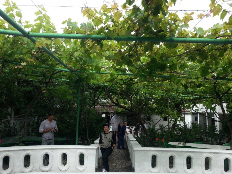 Боже, храни Грузию!