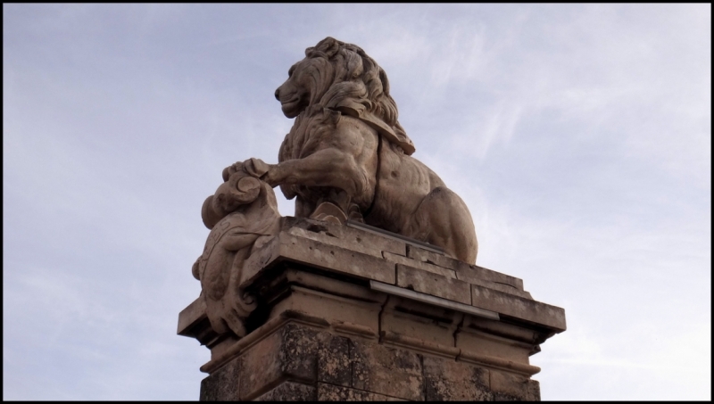 Французское меню (Прованс + Париж)