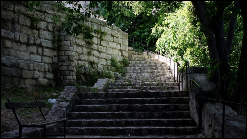 Французское меню (Прованс + Париж)