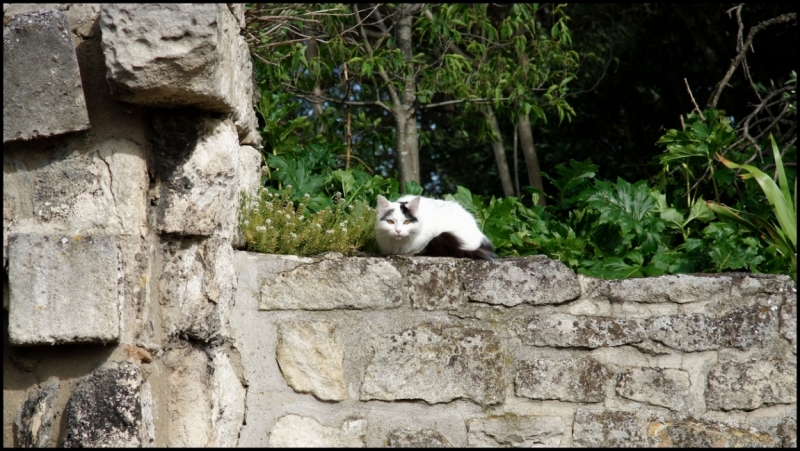 Французское меню (Прованс + Париж)