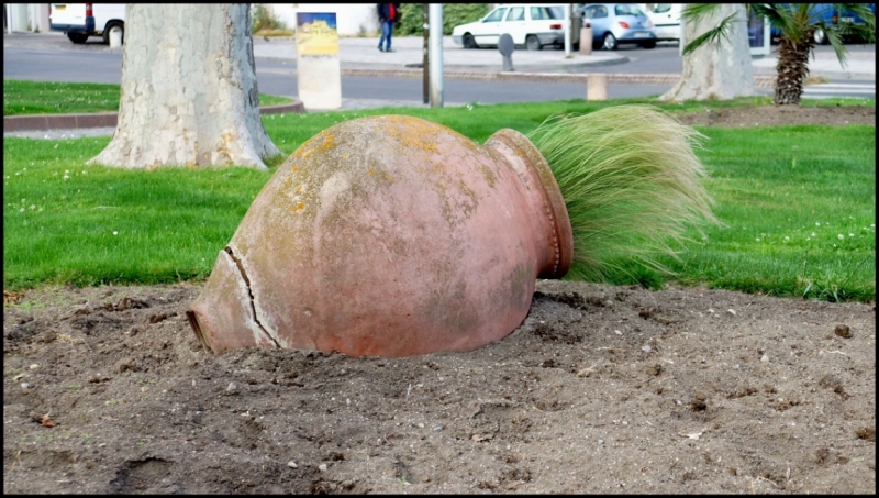 Французское меню (Прованс + Париж)