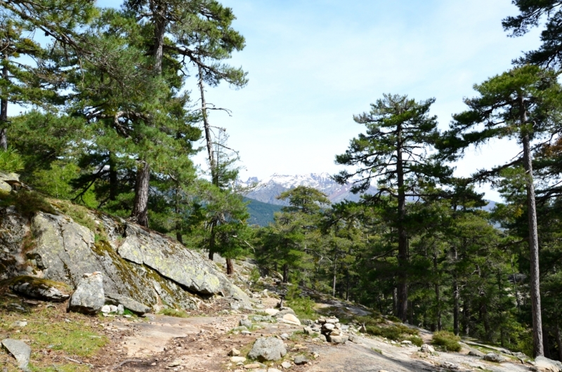 Корсика. Неделя на острове красоты. Май 2014